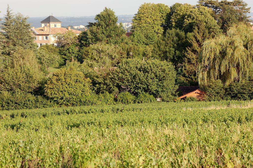 Le Montellier Bed & Breakfast Blacé Eksteriør bilde